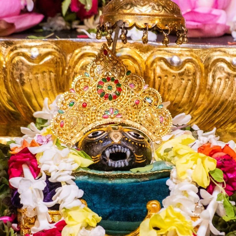 Sri Nrsimha Salagram Sila_vc