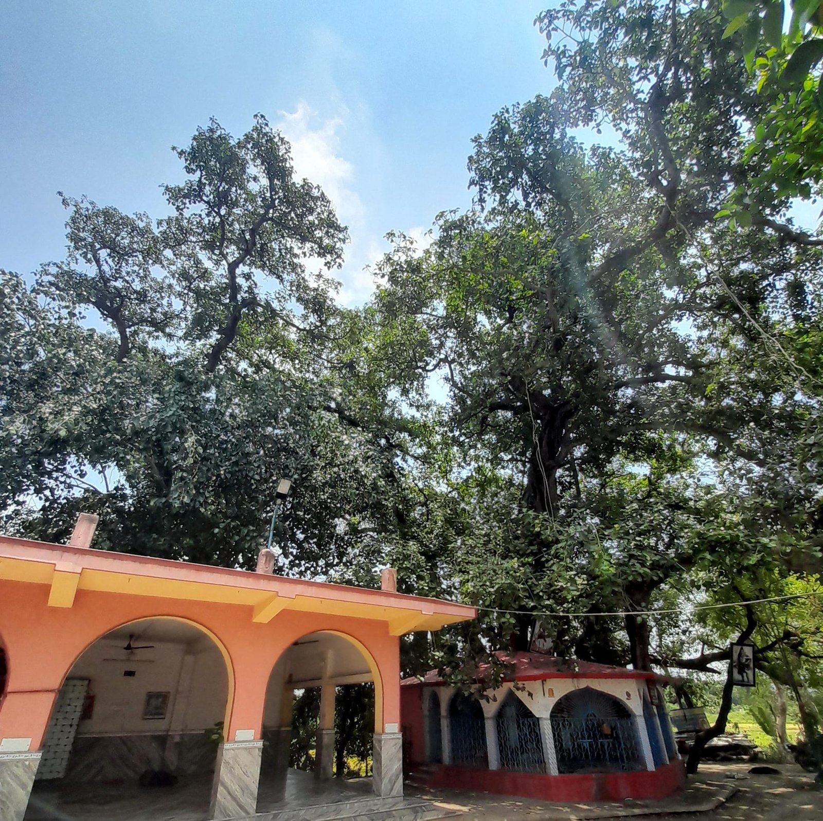 Temple_Pancamukha siva