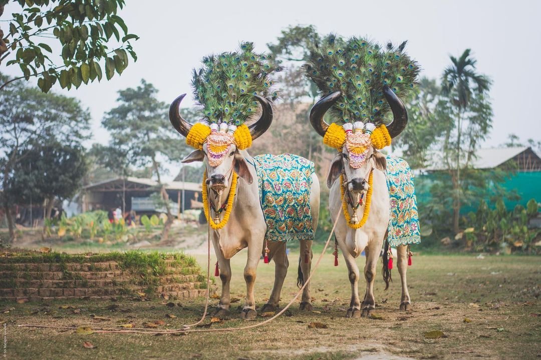 Fauna_Cow_Garland