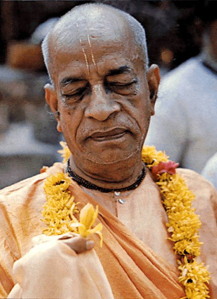 SP_Swarnachampa