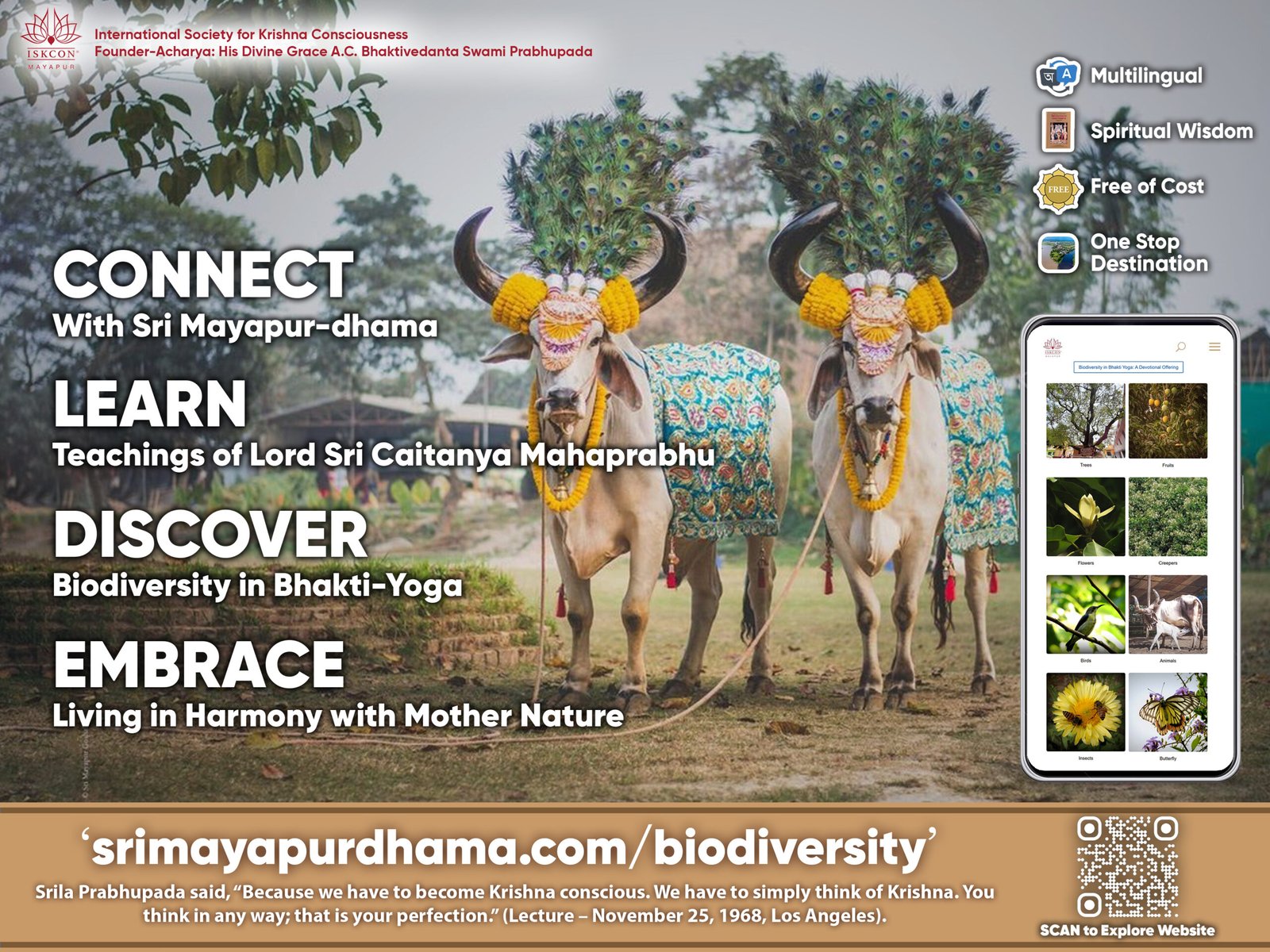 Biodiversity