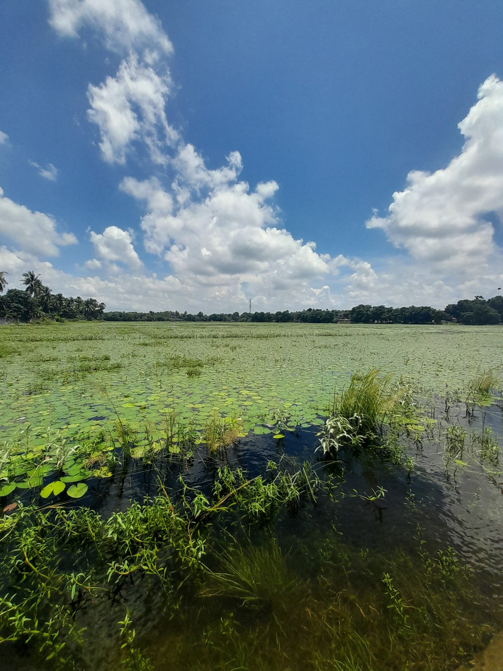 Balladighi (Prthu Kunda)_Aug25