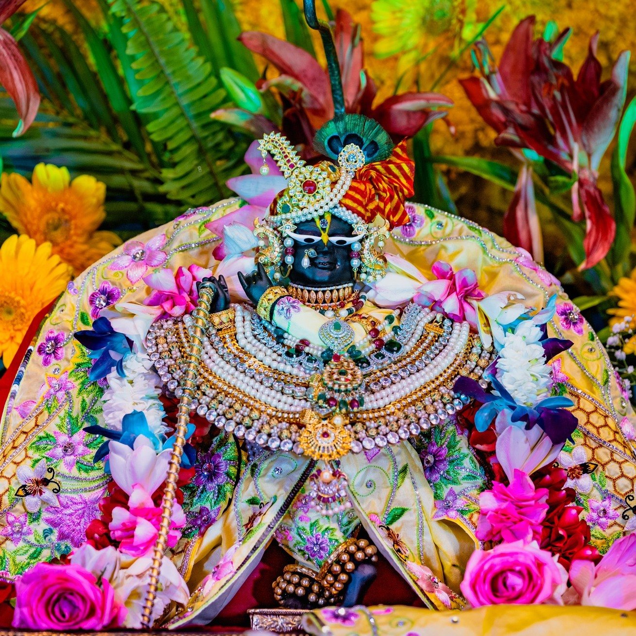 navadvipa dhama parikrama nabadwip