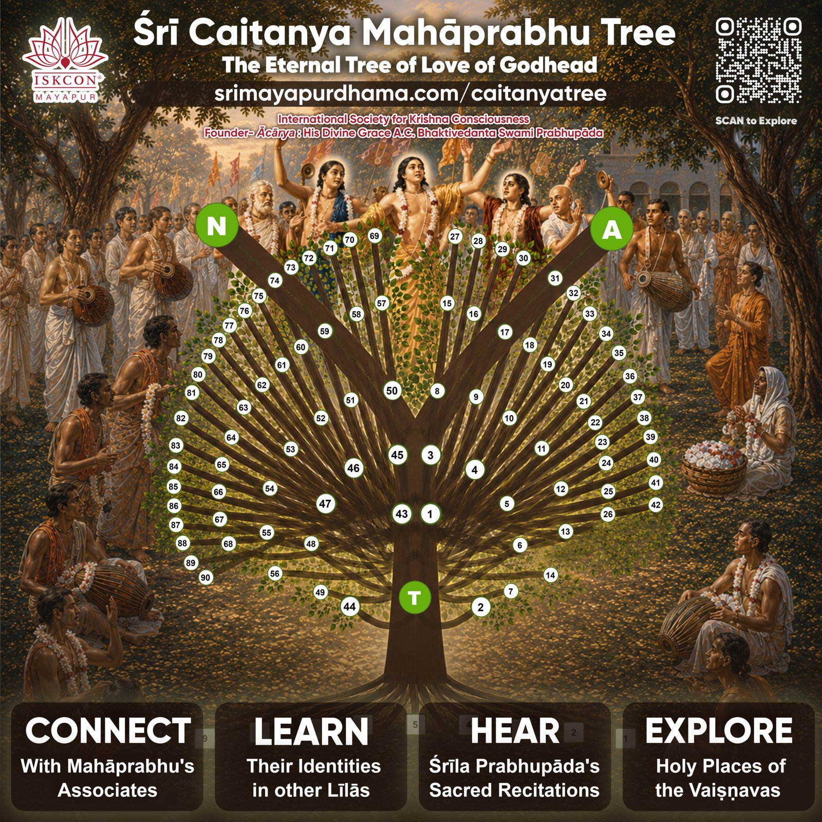 Sri Caitanya Mahaprabhu Tree – Gaudiya Vaishnavism devotional lineage and branches
